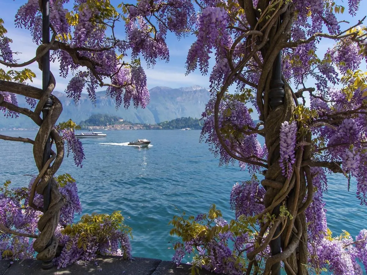 La Perla Di Sonenga - Giardino Διαμέρισμα Μενάτζιο